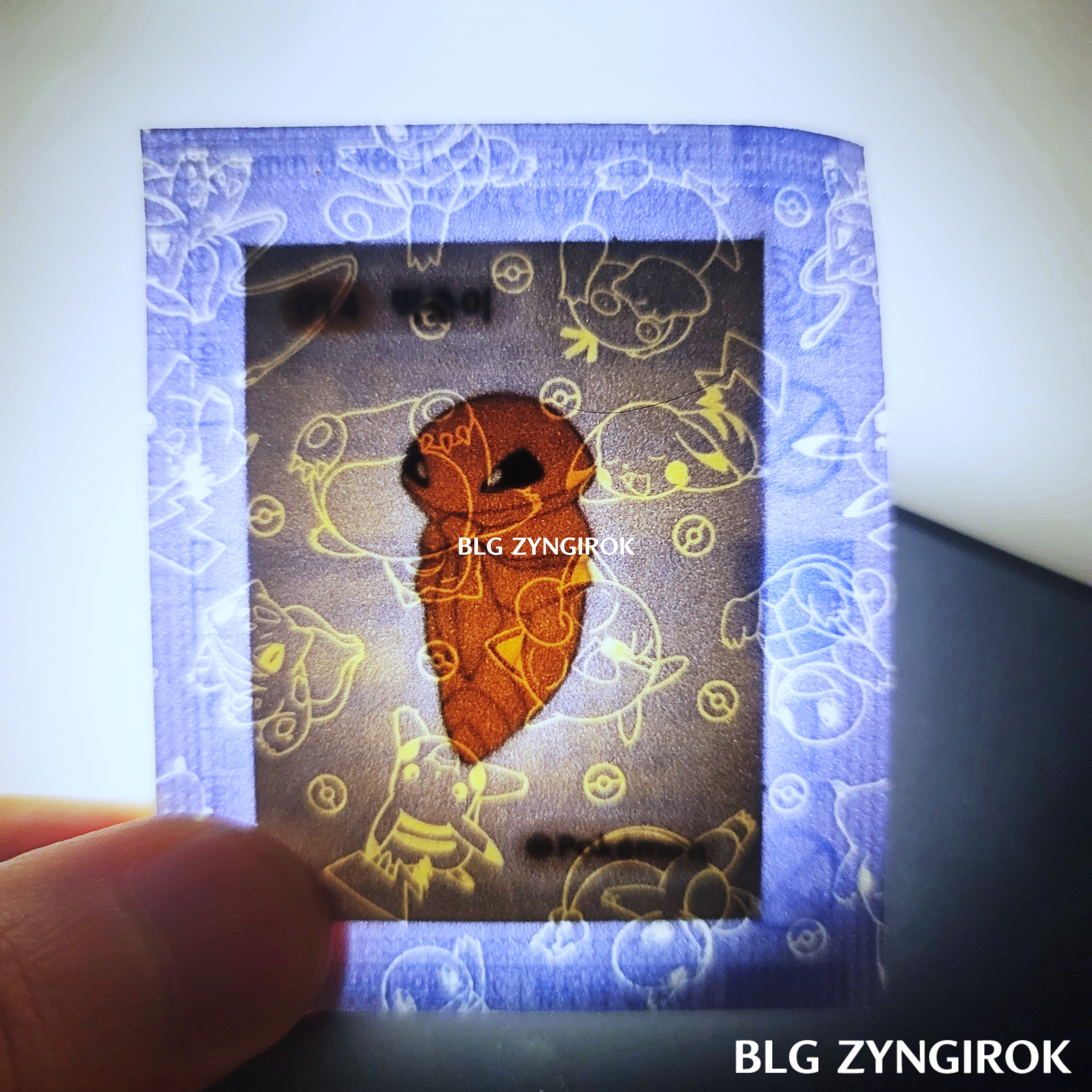 띠부띠부씰-단데기를-들고있다.