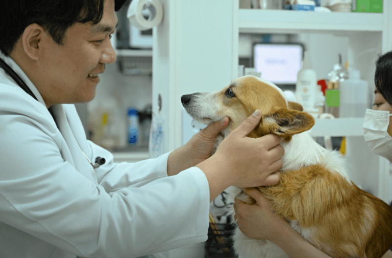 도담동물의료센터