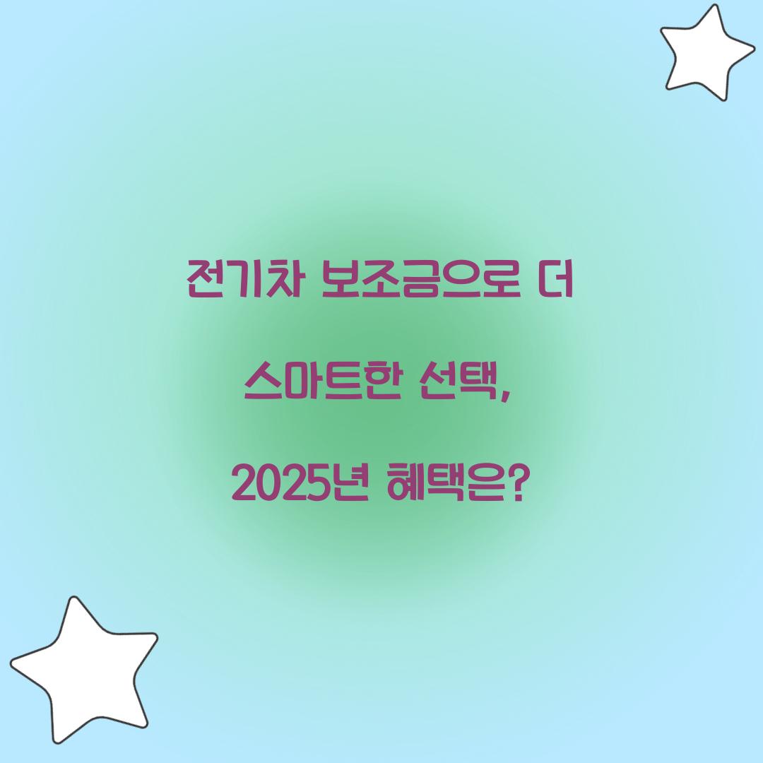전기차 보조금