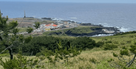 제주도 서쪽 여행코스