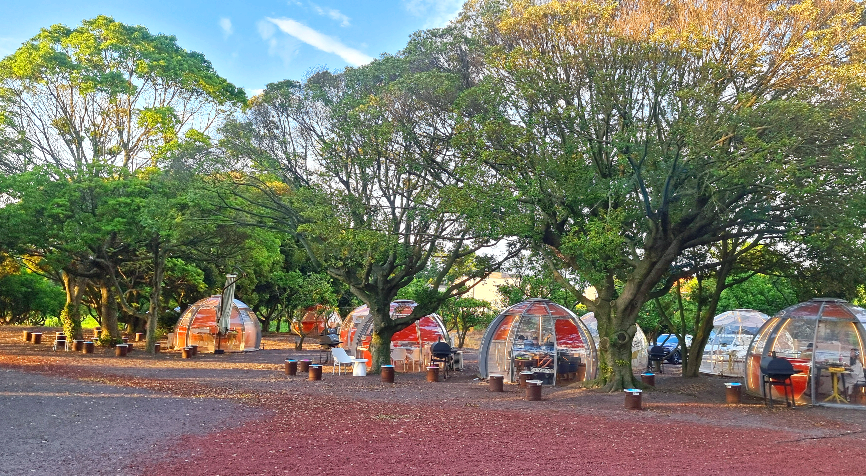 제주도 블로비 포레스트 블로비 돔