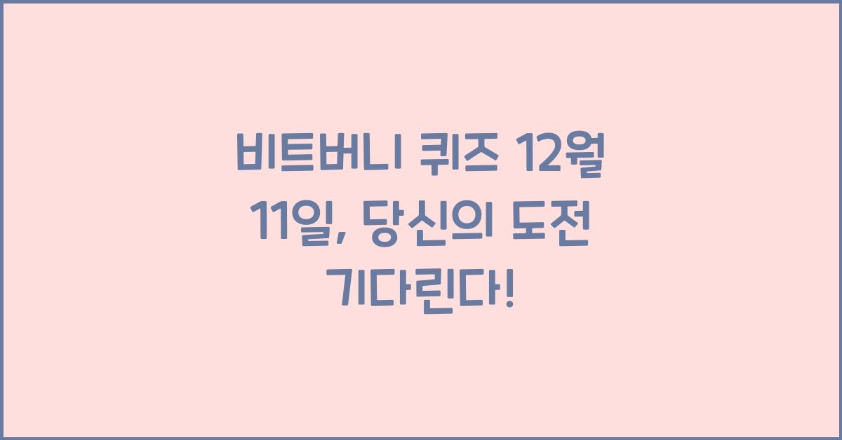 비트버니 퀴즈 12월 11일