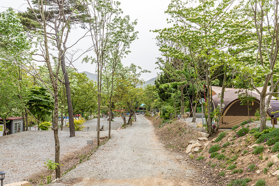 가야산 캠핑장 예약