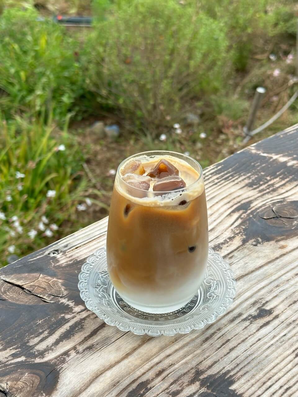 생생정보 두 집 살림 카페 순이로 남해 한 달 살아보기 카페 톨 생생정보 2299회