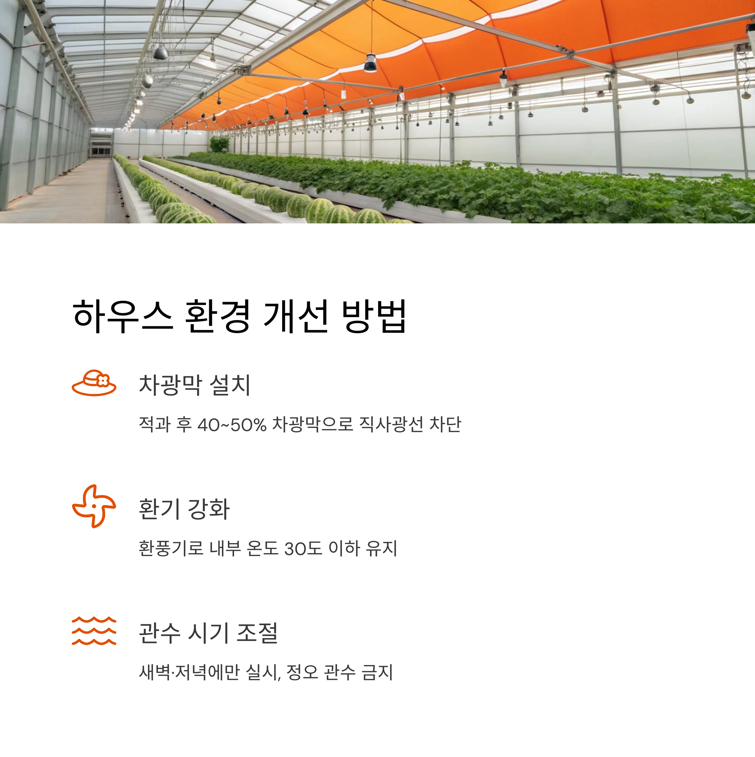 하우스 환경 개선 방법