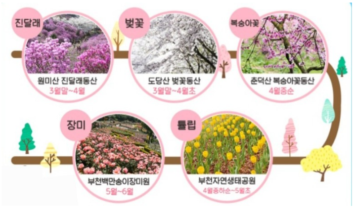 부천에서 만날 수 있는 코스