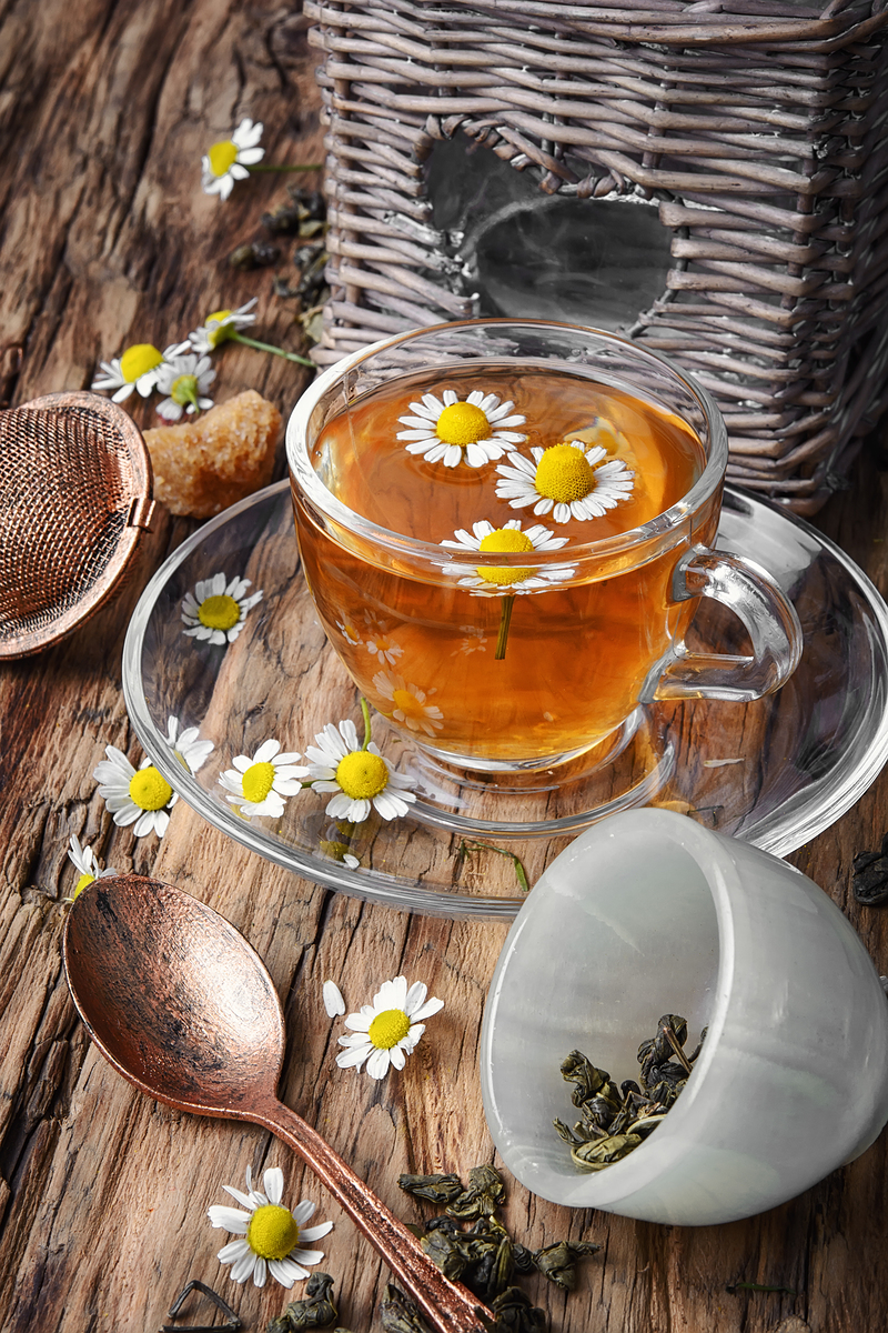 캐모마일차 효능