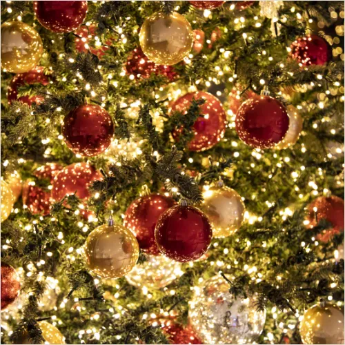 크리스마스 트리 점등식