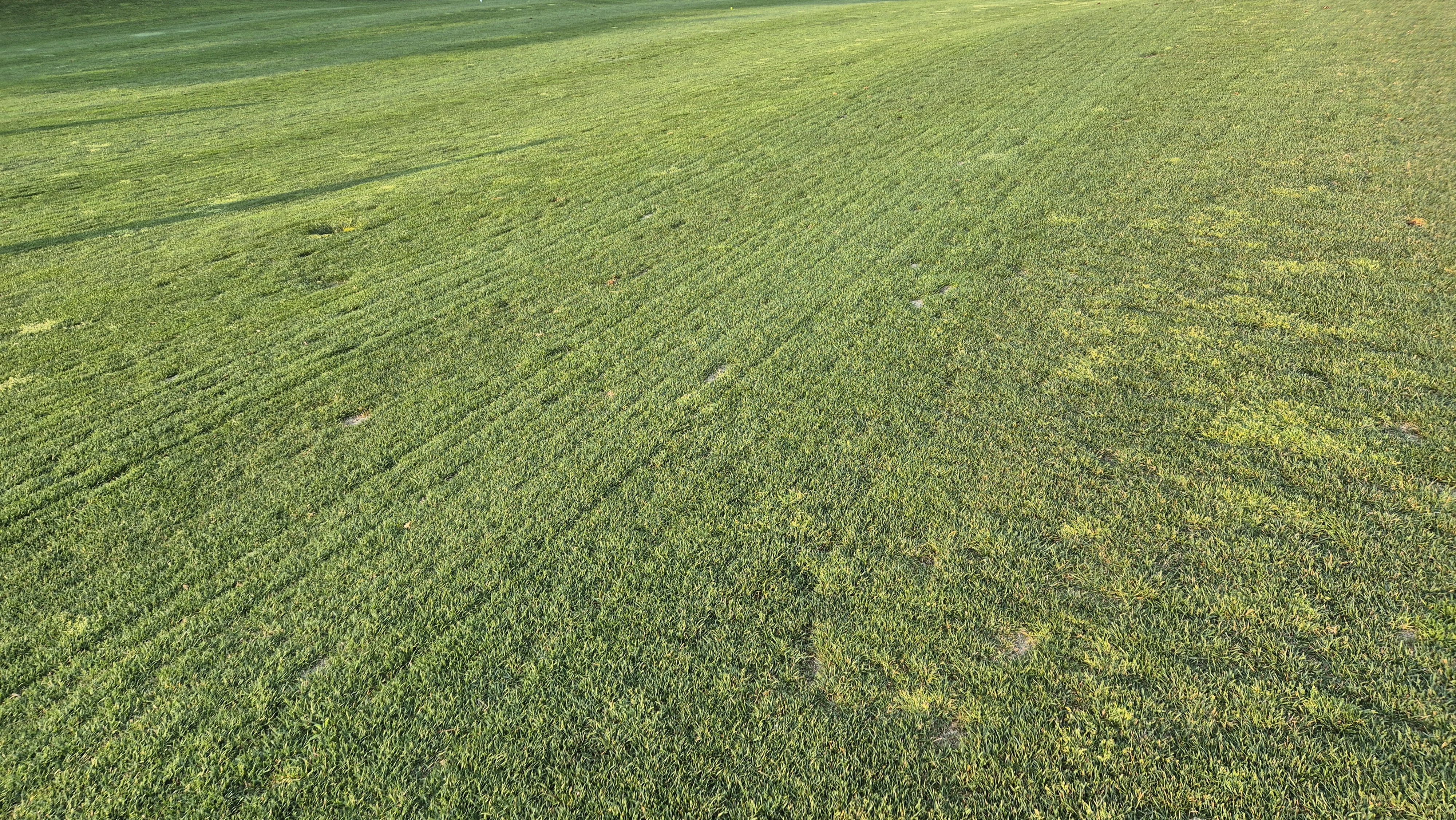 소노펠리체cc 비발디파크 웨스트