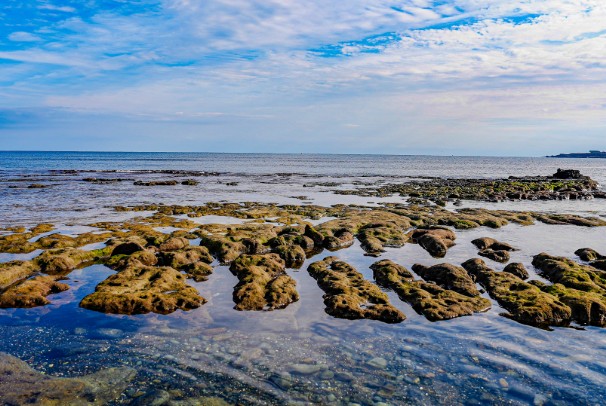 12월 부모님과 함께 하는 2박3일 제주도여행 추천 - 가볼만한곳, 코스, 일정, 맛집, 숙소, 경비(비용)