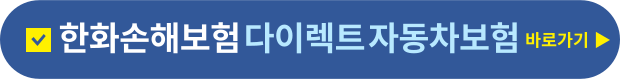 다이렉트자동차보험 바로가기