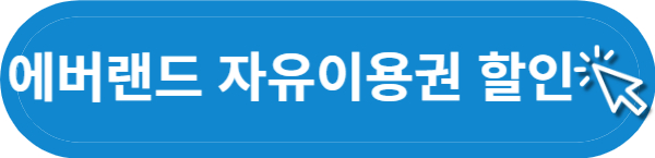 에버랜드 자유이용권 할인