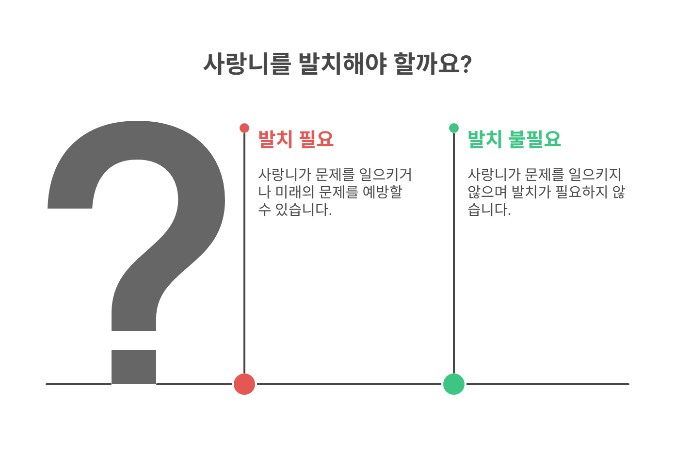 사랑니 발치가 꼭 필요한 경우는?