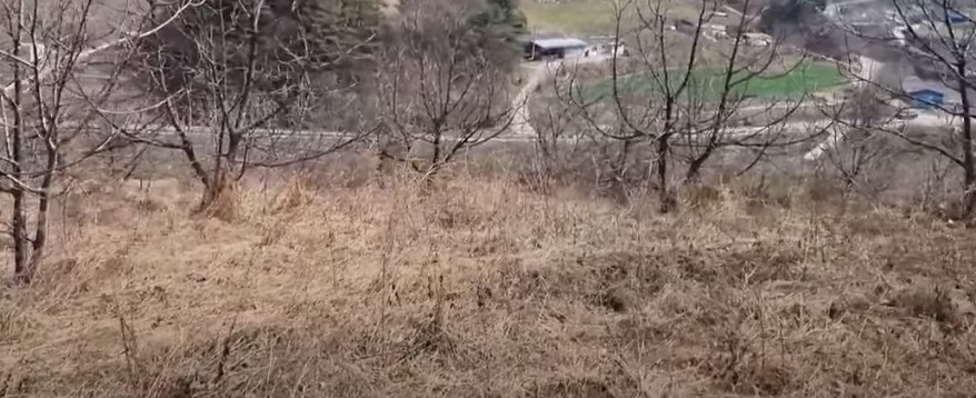 싼땅 전원주택 주말농장 귀농 귀촌 부지 - 경북 의성, 경남 밀양 창원 거창, 충북 제천