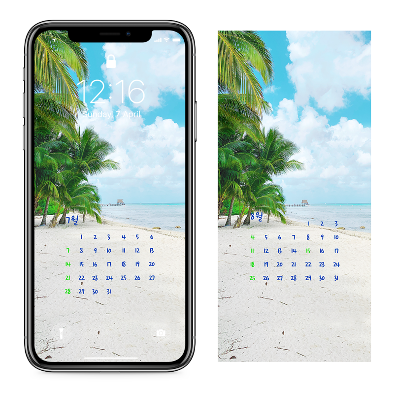 07 해변의 야자수 AB - 2024년7월 아이폰달력배경화면