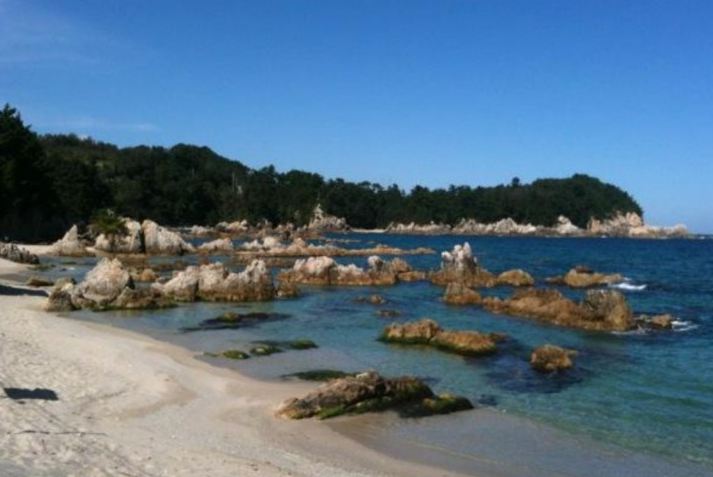 장호항 관련 홍보 사진