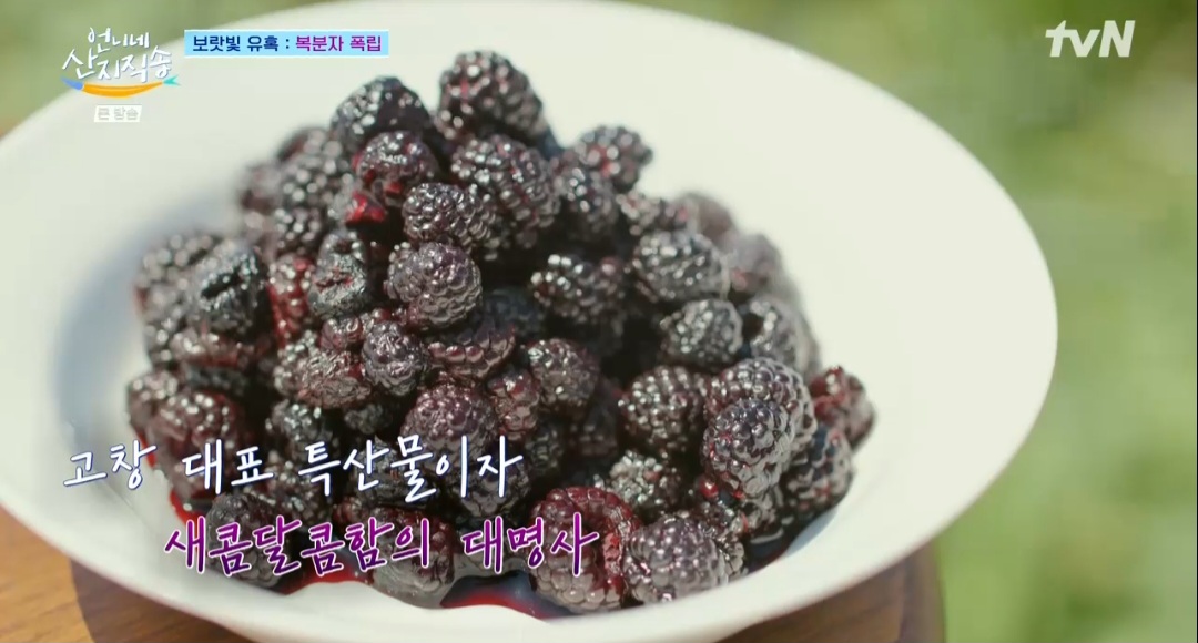 언니네산지직송 염정아 복분자폭립 레시피