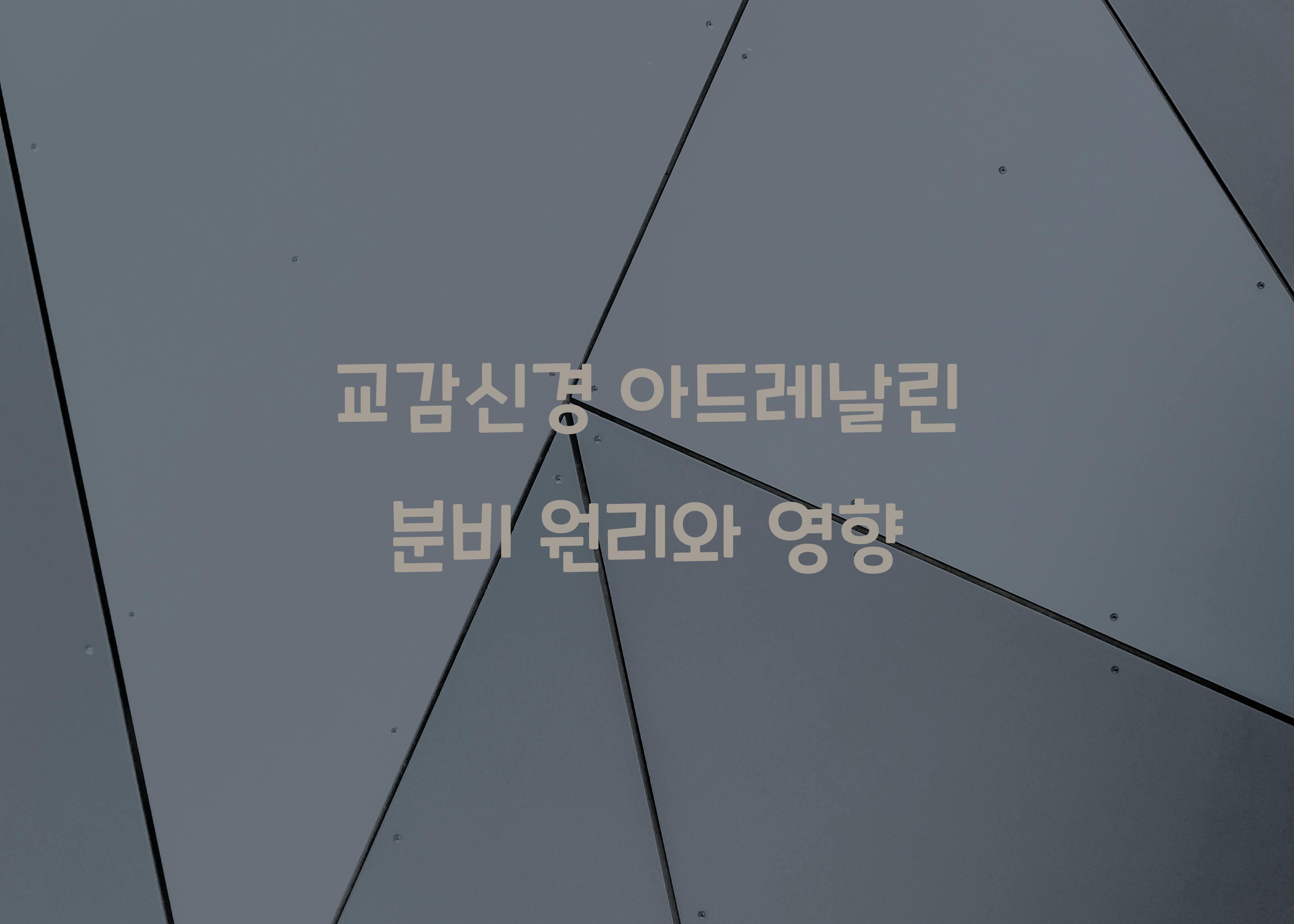 교감신경 아드레날린 분비