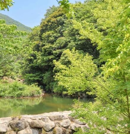완도 가볼만한곳 베스트 10