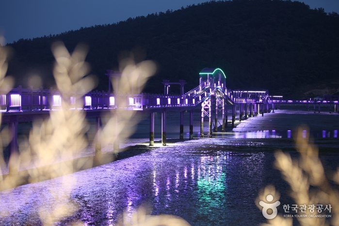 신안 퍼플교 야경