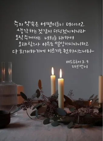 베드로후서 3장 9절 묵상 - 주의 약속은 어떤 이들이 더디다고 생각하는 것 같이 더딘 것이 아니라_21