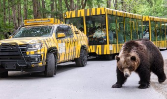 에버랜드 오후권