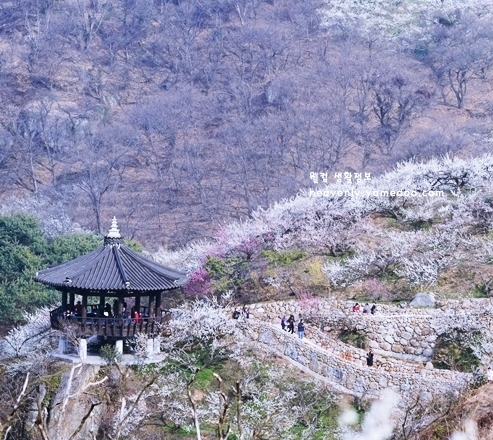 2월 인사말 문구