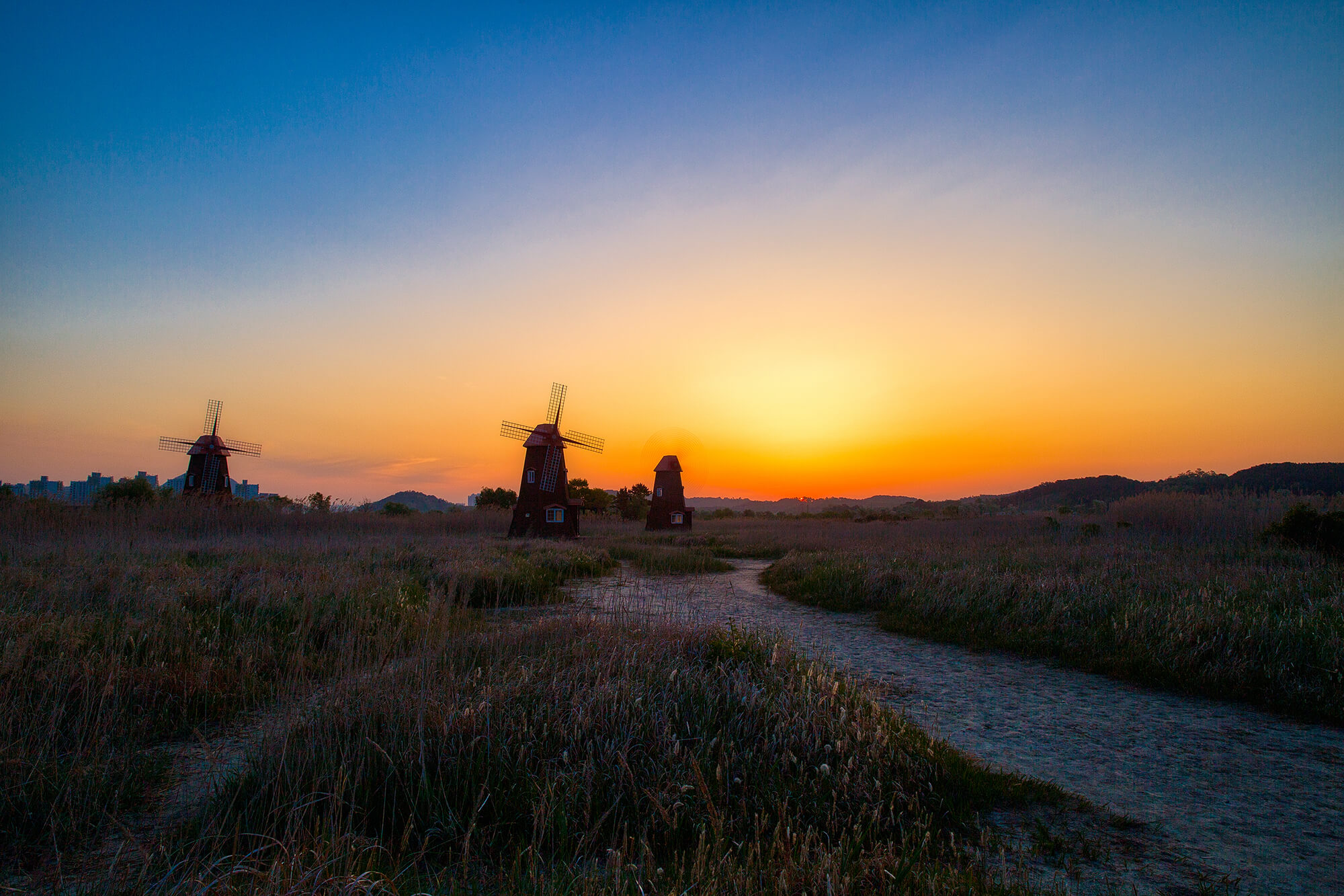 소래습지생태공원 여명5