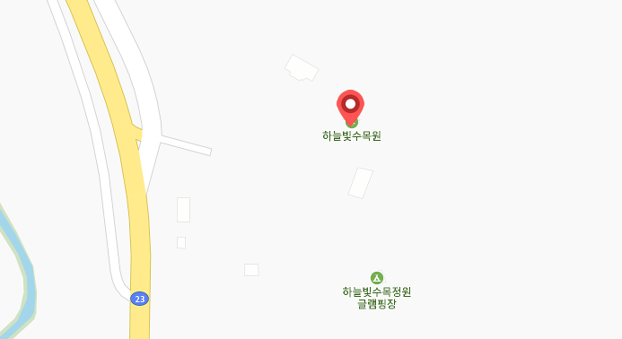 장흥 하늘빛수목정원 튤립축제