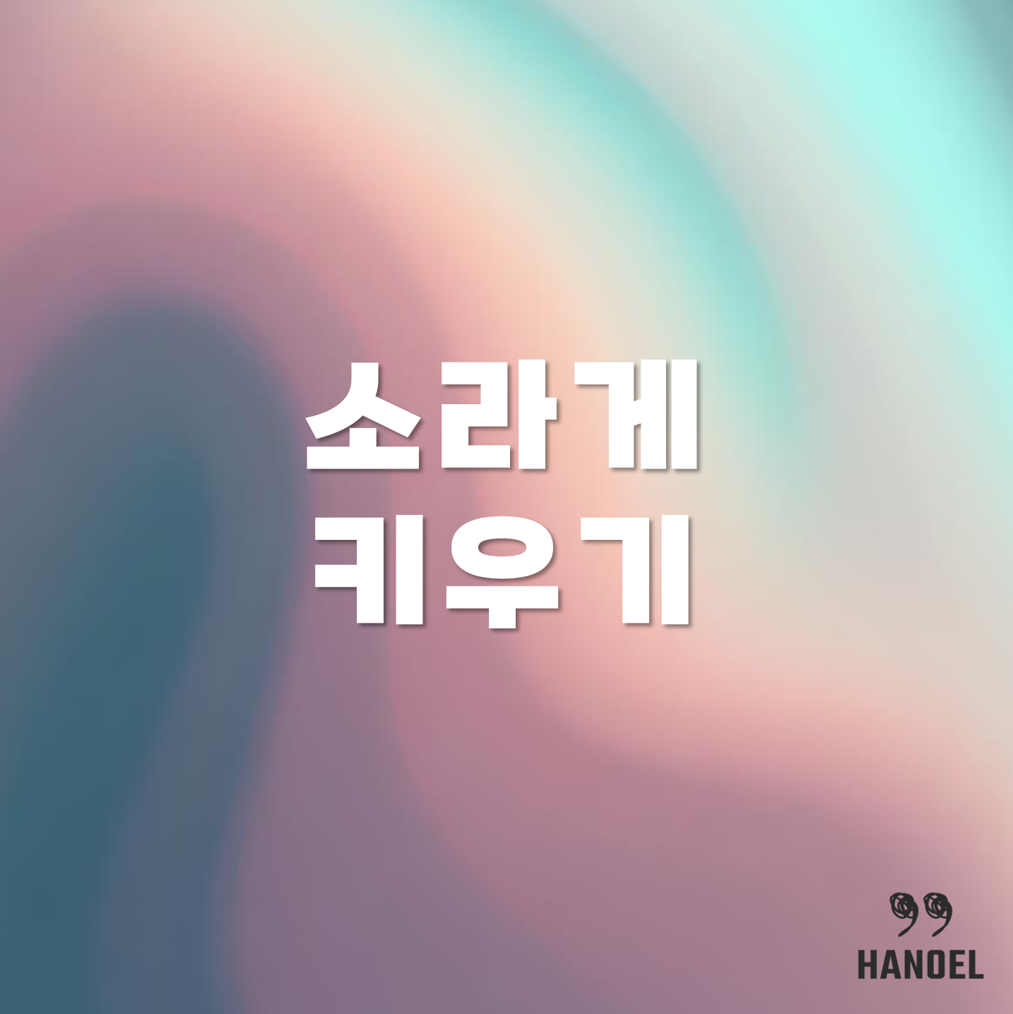 소라게 키우기 소개 사육장,먹이, 바닥재 정보