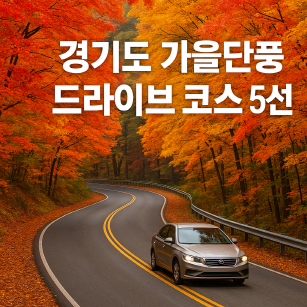 서울 근교 단풍 드라이브 추천! 경기도 가을 단풍 명소 BEST 5
