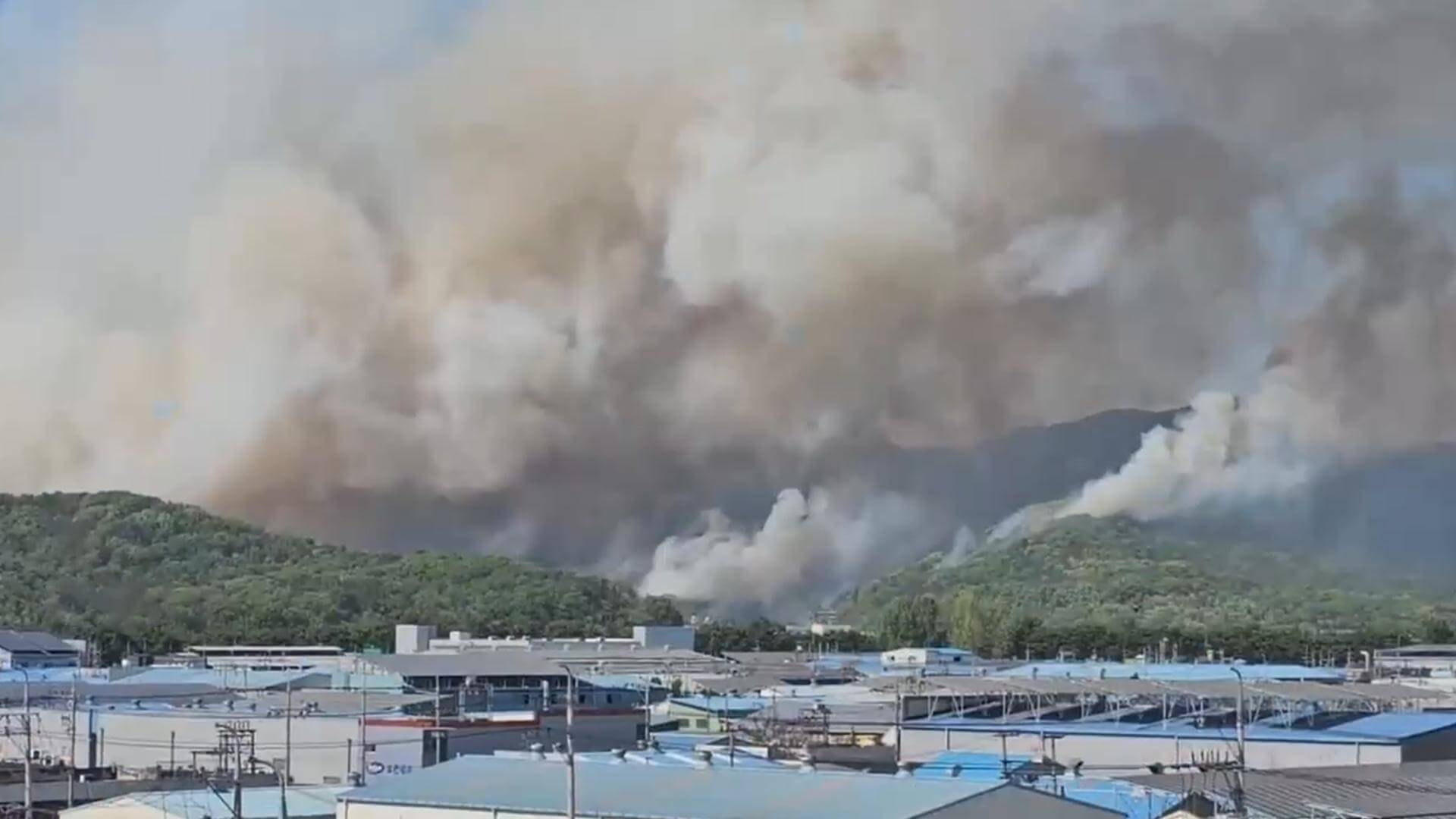 대구 함지산 산불 원인 실시간 상황 대피 주의사항