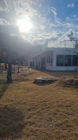 안동 뒤뜰카페 돈까스 맛집 임동 임하댐 근처 식당 추천