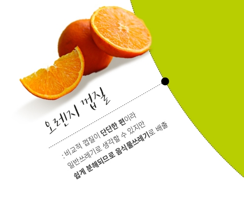 음식물 쓰레기와 일반 쓰레기로 나뉘는 과일 껍질 최종 정리