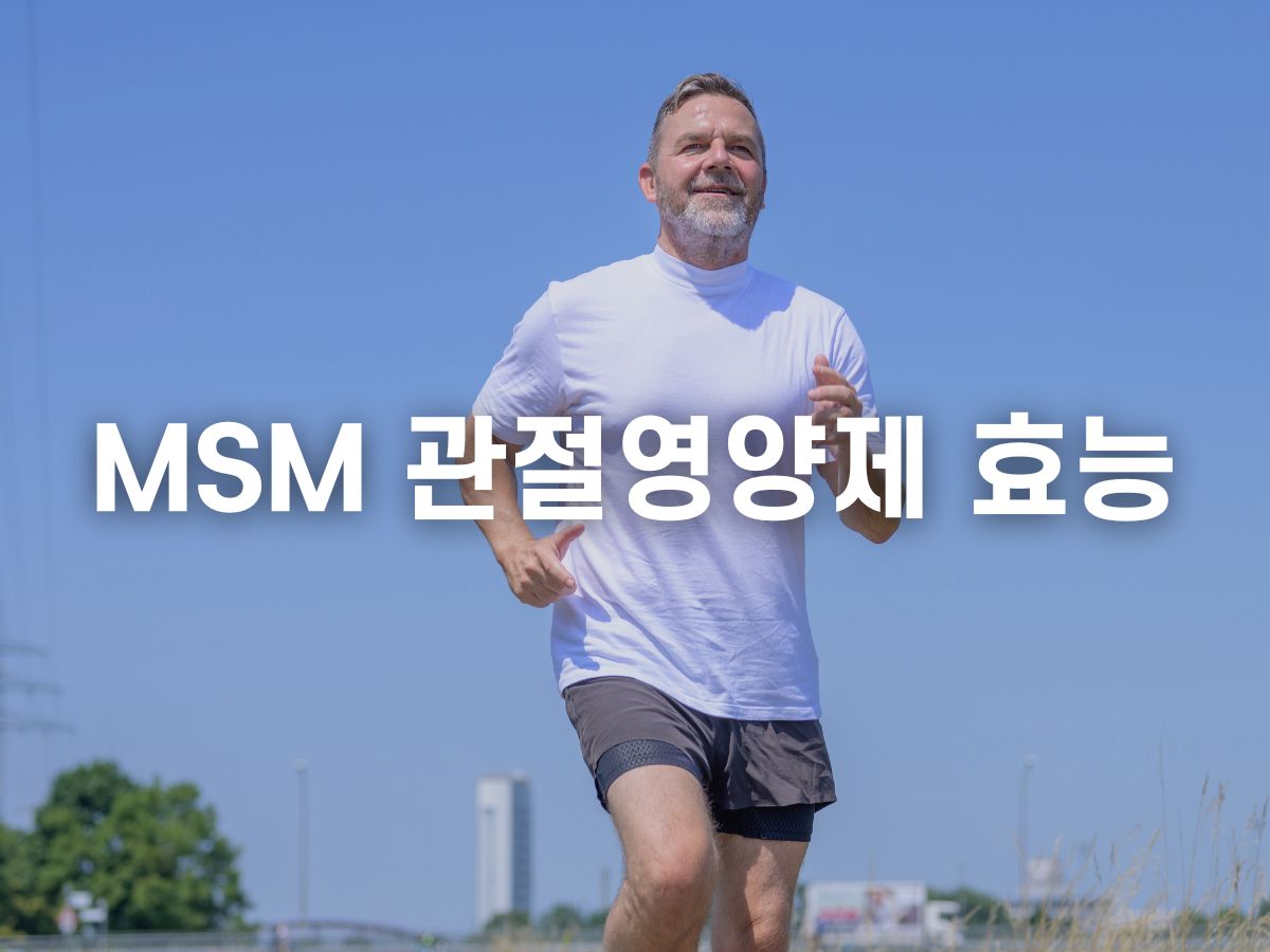 MSN 관절 영양제 효능
