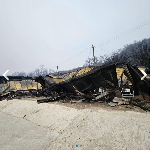 고향사랑e음으로 산불 기부하고 세액공제 + 지역특산물까지 받는 법