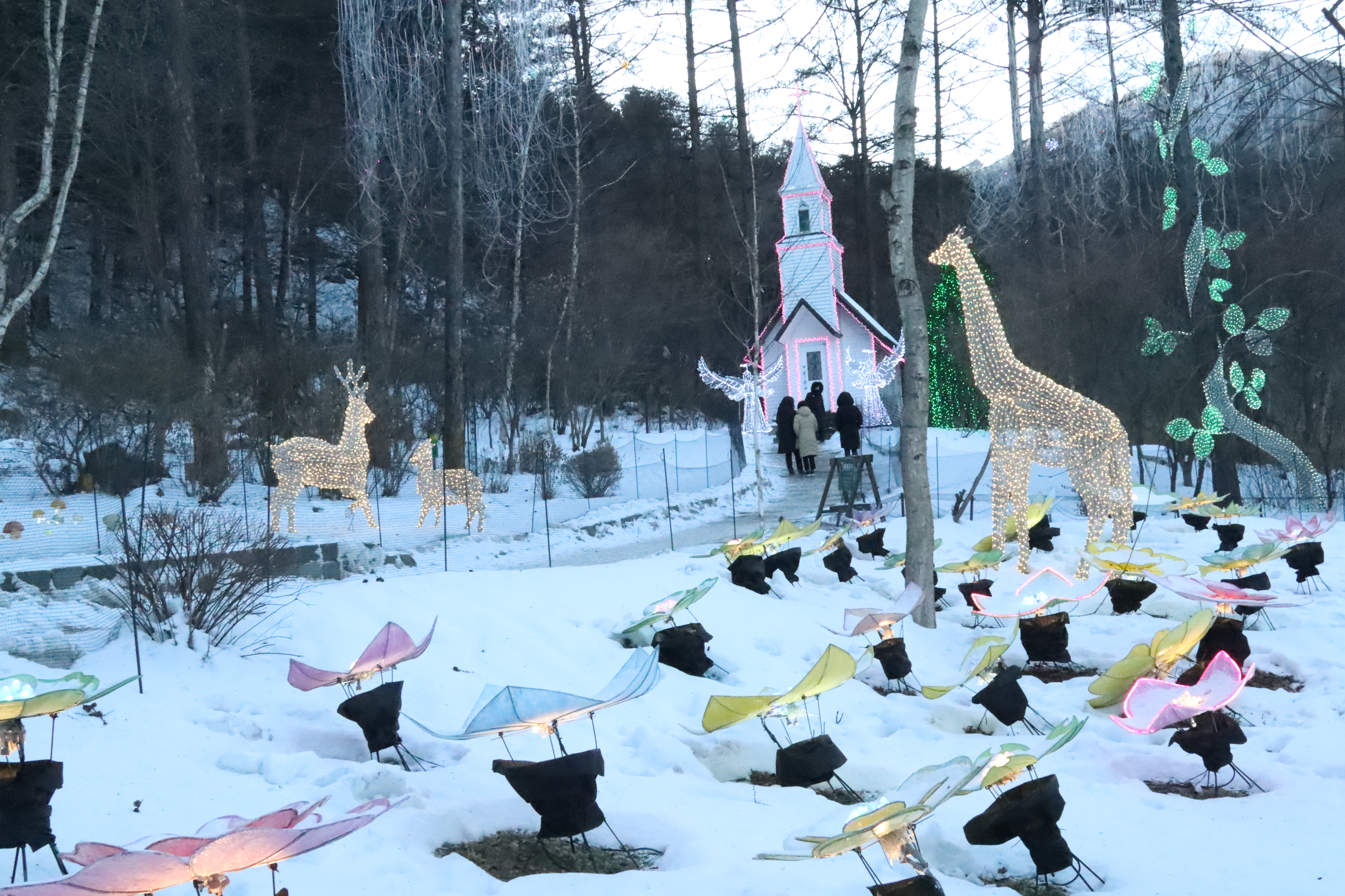 아침고요수목원