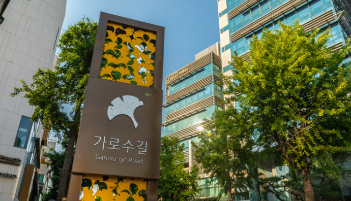 가로수길 🛍️