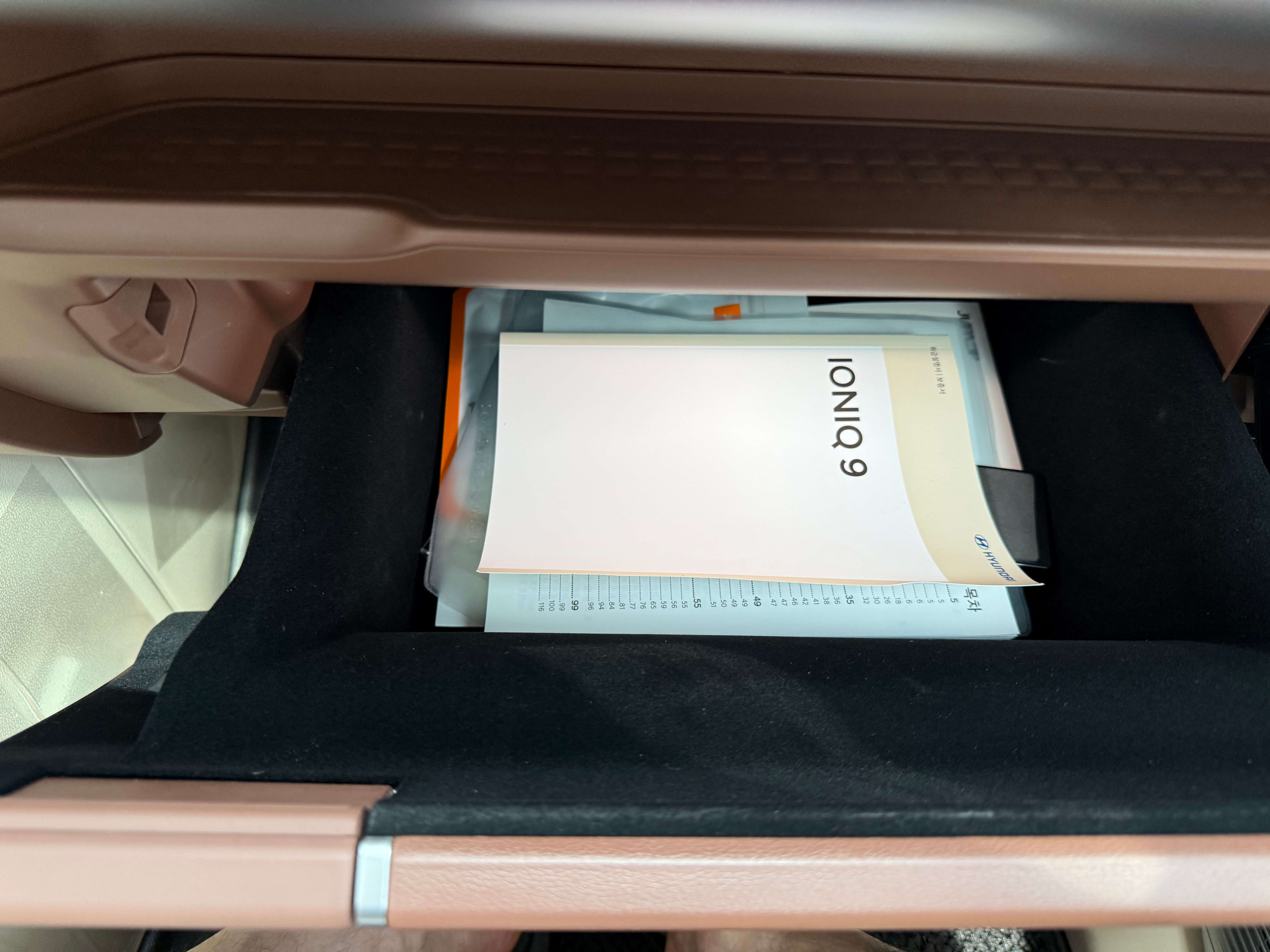 아이오닉9
