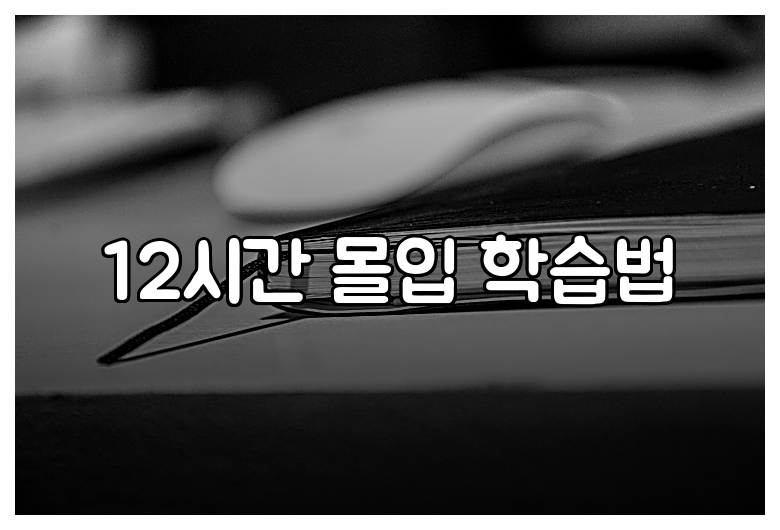 12시간 몰입 학습법