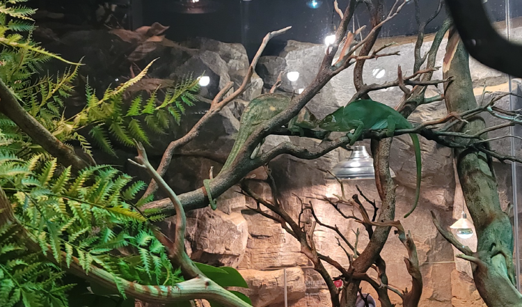 가평 신비동물원