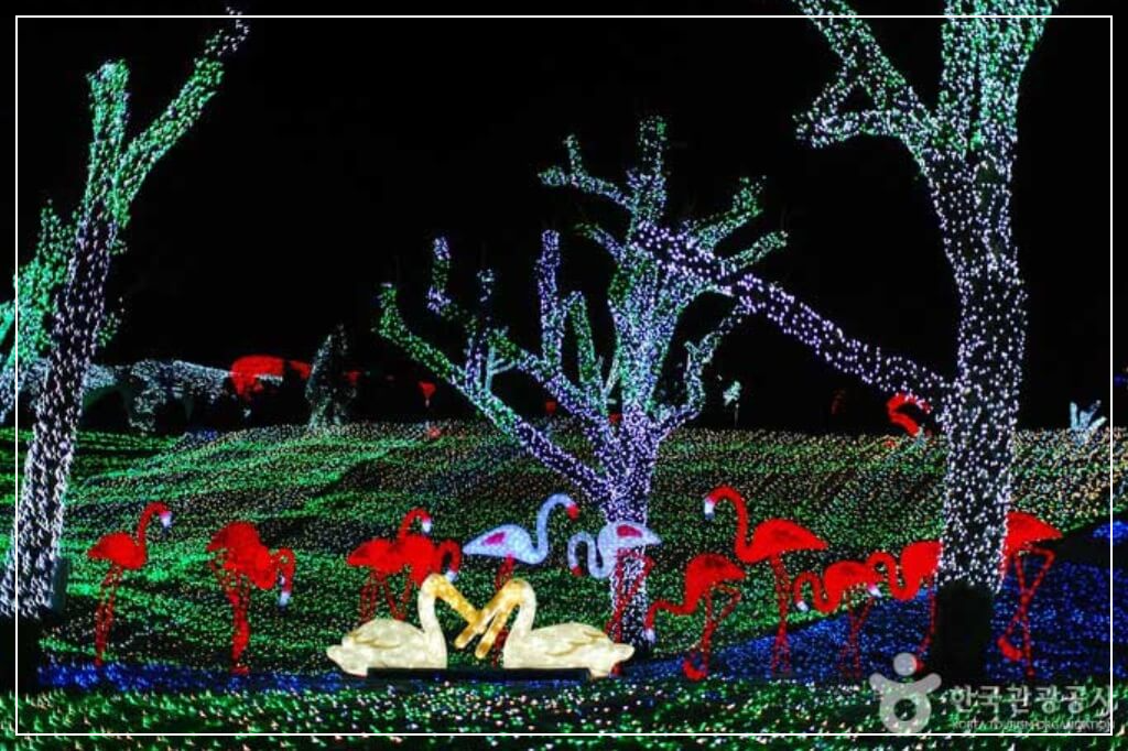 청도 가볼만한곳 베스트10 청도 프로방스 포토랜드