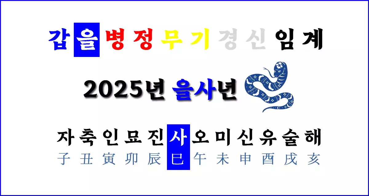 60갑자의 을사년 의미