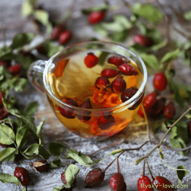 관절에 도움이 되는 로즈힙 차