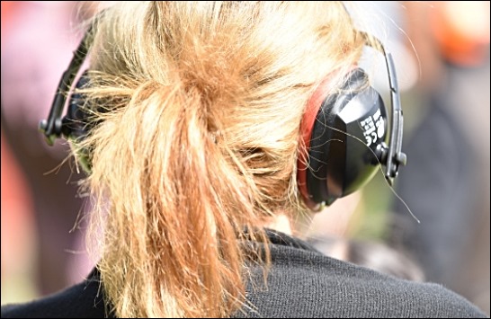 돌발성 난청 원인 4