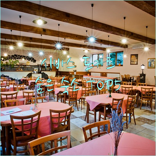 튀르키예 시바스 토카트 여행 현지인만..