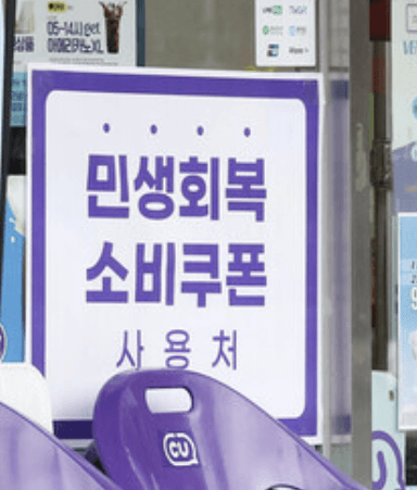 민생회복 소비쿠폰 사용처