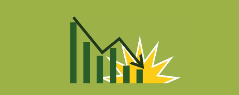 뻥튀기 논란 파두 관련 일러스트 이미지 < 출처 : 롯데카드 >