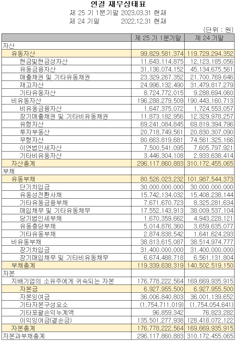 텔레칩스 - 재무상태표