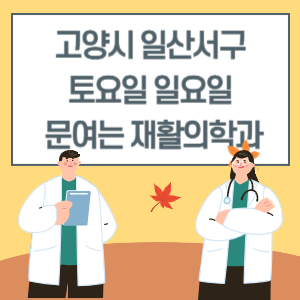 고양시 일산서구 토요일 일요일 재활의학과 진료 문여는 병원 리스트